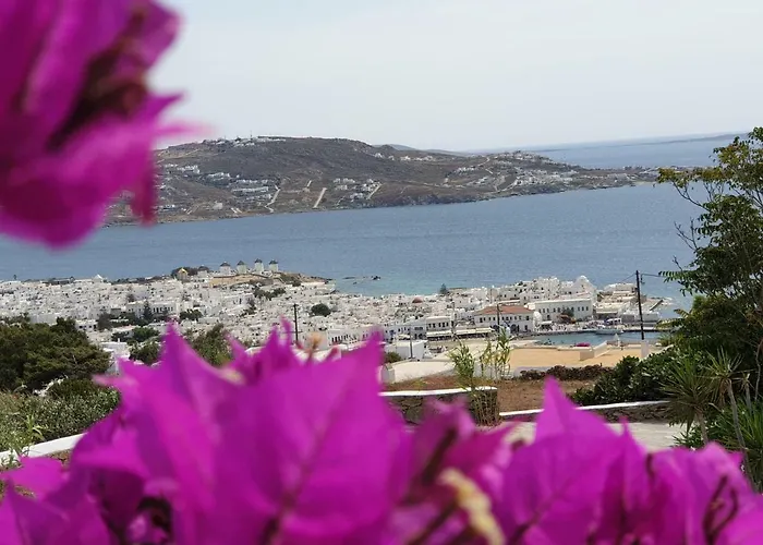 Bellou * Mykonos Town