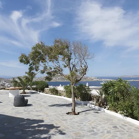 ベロウ スイーツ *